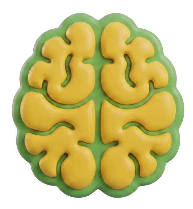 A brain